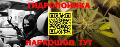 скорость Лесосибирск