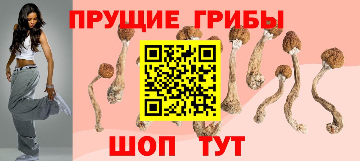 Галлюциногенные грибы мицелий  где можно купить наркотик  Вход с VPN  Гулькевичи  Псилоцибиновые грибы Magic Shrooms 
